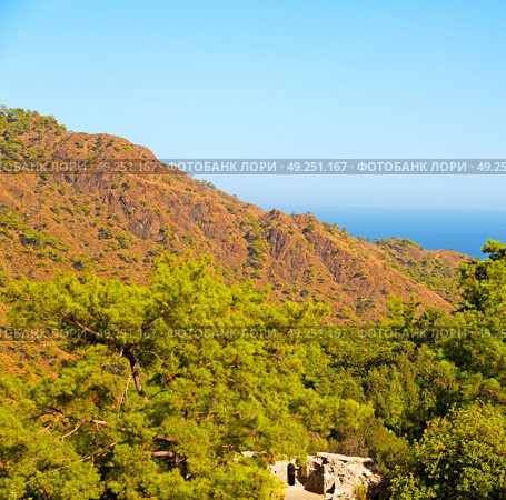  anatolia    from     the hill in asia turkey termessos old architecture and nature . Стоковое фото, агентство Ingram Publishing / Фотобанк Лори