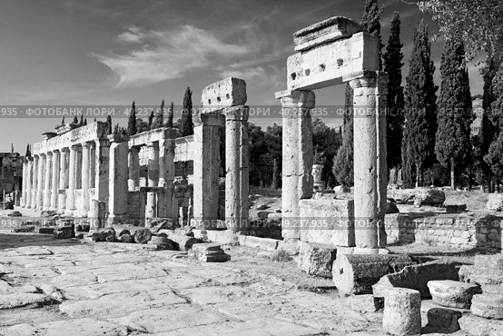  pamukkale    old construction in asia turkey the column  and the roman temple . Стоковое фото, агентство Ingram Publishing / Фотобанк Лори