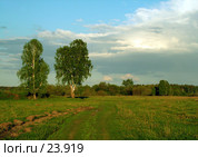 Русское поле. Стоковое фото, фотограф Александр Тараканов / Фотобанк Лори