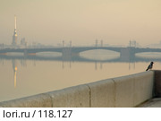 Санкт-Петербург. Нева. Утро (2007 год). Стоковое фото, фотограф Александр Алексеев / Фотобанк Лори