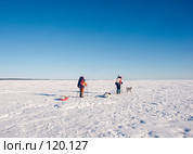 Зимняя экспедиция на острова, Белое море, Карелия. Стоковое фото, фотограф Александр Максимов / Фотобанк Лори