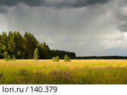 Грибной дождь. Стоковое фото, фотограф Александр Алексеев / Фотобанк Лори