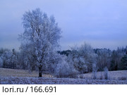 Замораживает. Стоковое фото, фотограф Aleksander Kaasik / Фотобанк Лори
