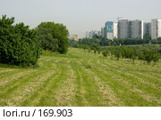 Выкошенный газон (2007 год). Редакционное фото, фотограф Петухов Геннадий / Фотобанк Лори