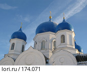 Купола церкви женского монастыря в Боголюбово Владимирской области (2008 год). Редакционное фото, фотограф Лада Иванова / Фотобанк Лори