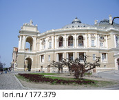 Украина, город Одесса, деревья на фоне Оперного театра (2005 год). Стоковое фото, фотограф Галина  Горбунова / Фотобанк Лори