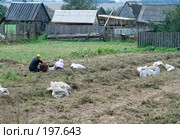 Уборка картофеля (2007 год). Стоковое фото, фотограф Юрий Синицын / Фотобанк Лори