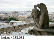 Вид с собора Парижской богоматери (2007 год). Стоковое фото, фотограф Юлия Кузнецова / Фотобанк Лори
