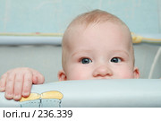 Такой удивительный мир... Стоковое фото, фотограф Круглов Олег / Фотобанк Лори