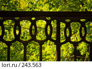 Детали чугунной ограды у камской набережной, Пермь. Стоковое фото, фотограф Harry / Фотобанк Лори