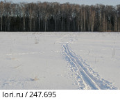 Лыжня, ведущая в сторону леса. Стоковое фото, фотограф Антон Алябьев / Фотобанк Лори