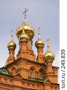 Храм Вознесения Господня (Феодосиевская церковь) (2008 год). Стоковое фото, фотограф Александр Лядов / Фотобанк Лори