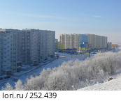 Улица Октябрьская г. Снежногорска зимой (2008 год). Стоковое фото, фотограф Иван Мацкевич / Фотобанк Лори