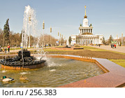 Москва. ВВЦ. Весенний пейзаж с фонтаном и утками. (2008 год). Редакционное фото, фотограф Светлана Силецкая / Фотобанк Лори