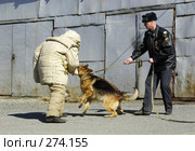 Уже куснула (2008 год). Редакционное фото, фотограф Дмитрий Лемешко / Фотобанк Лори
