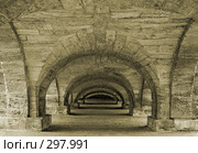 Арки пандуса Камероновой галереи (2007 год). Редакционное фото, фотограф Надежда Болотина / Фотобанк Лори