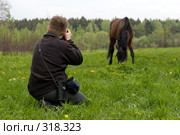 Фотограф фотографирует коричневую лошадь на фоне зеленого леса. Стоковое фото, фотограф Сергей Лешков / Фотобанк Лори