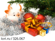 Новогодний подарок. Стоковое фото, фотограф паша семенов / Фотобанк Лори