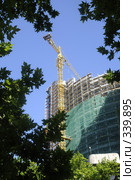Многоэтажный дом в сочи и лиственные деревья (2008 год). Стоковое фото, фотограф Михаил Малышев / Фотобанк Лори