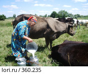 Доярка  процеживает молоко на фоне стада коров (2007 год). Редакционное фото, фотограф Галина  Горбунова / Фотобанк Лори