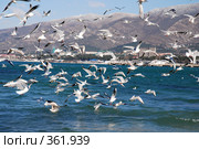 Россия, ЮФО, Краснодарский край, город-курорт Геленджик (2007 год). Стоковое фото, фотограф Игорь Архипов / Фотобанк Лори