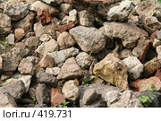 Камешки. Стоковое фото, фотограф Козырин Илья / Фотобанк Лори