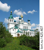 Церковь в деревне Городня Батецкого района Новгородской области (2008 год). Стоковое фото, фотограф Ольга Нагибина / Фотобанк Лори