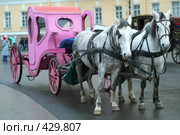 Лошади нашего города. Стоковое фото, фотограф Омельян Светлана / Фотобанк Лори