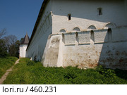 Звенигород. У стен Саввино-Сторожевского монастыря (2008 год). Стоковое фото, фотограф Julia Nelson / Фотобанк Лори
