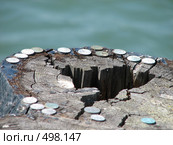 Разноцветные окисленные монеты на срезе бревна на фоне воды. Стоковое фото, фотограф Yevgeniy Zateychuk / Фотобанк Лори
