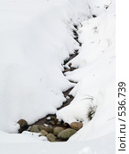Зимний тихий ручей, еле видный в снегу. Стоковое фото, фотограф Александр Кузовлев / Фотобанк Лори