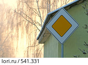 Зиме главную дорогу (2008 год). Стоковое фото, фотограф Ярослава Синицына / Фотобанк Лори