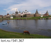 Соловки. Вид на Соловецкий монастырь с быком на переднем плане (2007 год). Редакционное фото, фотограф Т. З. / Фотобанк Лори