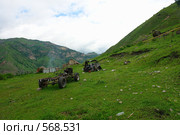 Пейзаж с джигитским автомобилем. Стоковое фото, фотограф Александр Тараканов / Фотобанк Лори