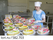 Цех по выпуску тортов (2006 год). Редакционное фото, фотограф Дмитрий Неумоин / Фотобанк Лори
