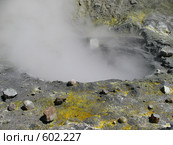 Камчатка, вулкан Мутновский. Стоковое фото, фотограф Легкобыт Николай / Фотобанк Лори