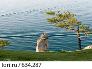 На Ольхоне. Стоковое фото, фотограф Игнатьев Михаил / Фотобанк Лори