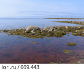 Беломорская литораль. Стоковое фото, фотограф Т. З. / Фотобанк Лори