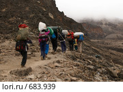 Восхождение на Килиманджаро по маршруту Machame Route, Танзания (2008 год). Редакционное фото, фотограф Алексей Зарубин / Фотобанк Лори