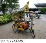 Рикша (2008 год). Редакционное фото, фотограф Сагирова Алсу / Фотобанк Лори