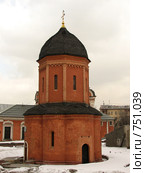 Собор во имя святого Петра, митрополита Московского и всея Руси (2009 год). Стоковое фото, фотограф Хименков Николай / Фотобанк Лори