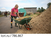 Будни конюшни (2008 год). Редакционное фото, фотограф Юрий Викулин / Фотобанк Лори