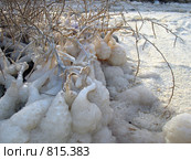 Мертвое море (2006 год). Стоковое фото, фотограф Irina Opachevsky / Фотобанк Лори