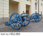Пушки голубого цвета возле дворца Дроттнигхольм (2009 год). Стоковое фото, фотограф Наталья Лукина / Фотобанк Лори