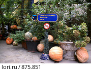 Скверик около Кунстхауса, Вена (2007 год). Редакционное фото, фотограф Irina Opachevsky / Фотобанк Лори