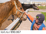 Маленький мальчик гладит лошадь. Стоковое фото, фотограф Михаил Павлов / Фотобанк Лори