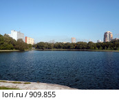 Лето в городском парке. Стоковое фото, фотограф Valeriy Novikov / Фотобанк Лори