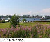 Вид на город Мышкин с противоположного берега Волги (2008 год). Редакционное фото, фотограф Т. З. / Фотобанк Лори