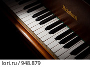 Рояль (2008 год). Редакционное фото, фотограф Никита Евдаков / Фотобанк Лори
