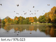 Таврический сад, осень (2008 год). Стоковое фото, фотограф Татьяна Едренкина / Фотобанк Лори